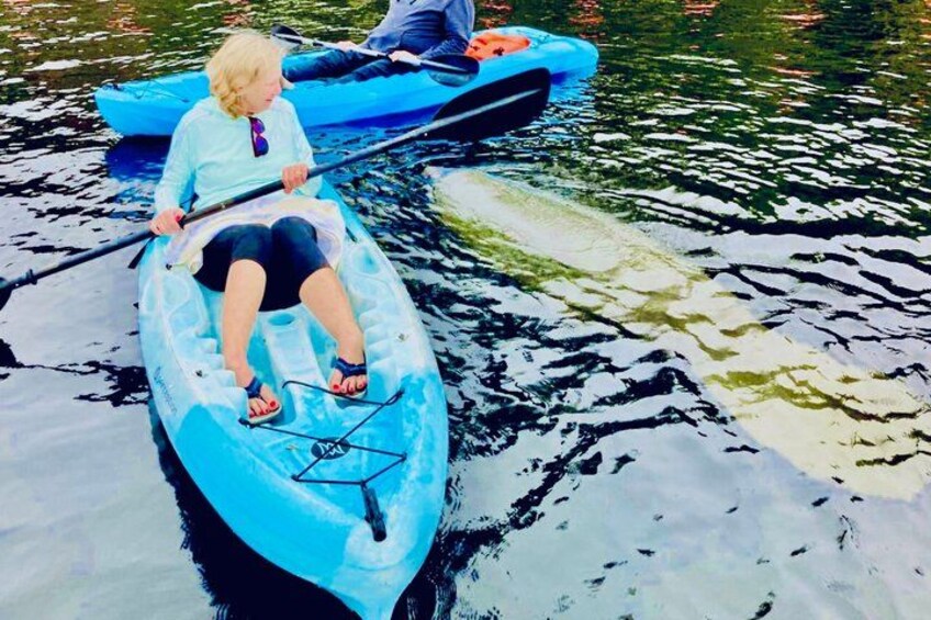 Una persona in un kayak blu su acqua calma. 1