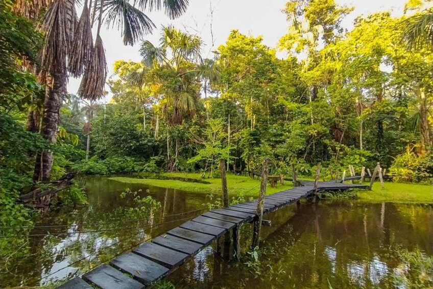 Amazonas Natural and Cultural 5-Day Tour 3