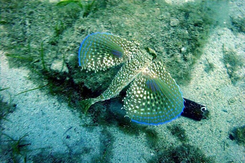 Discover Scuba Diving in the Caldera of the Volcano in Santorini 2