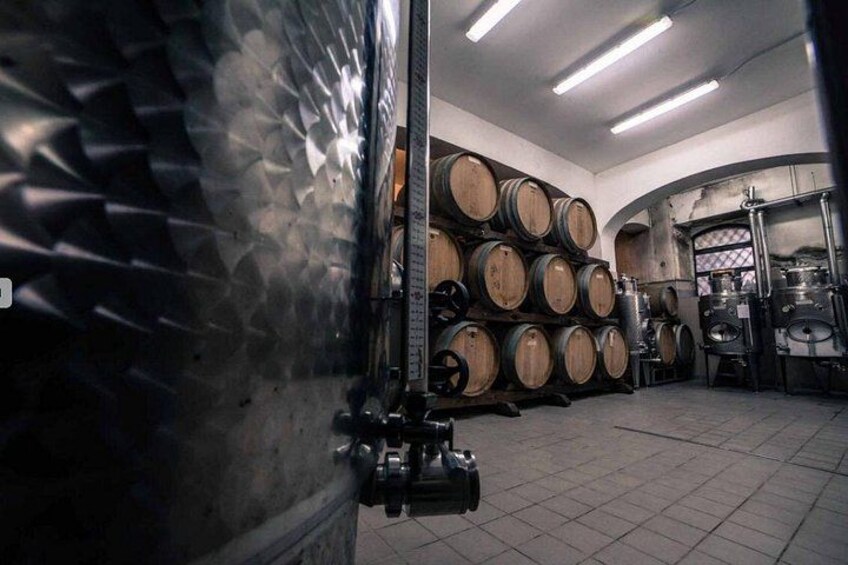 Private Etna Panoramic & wine tasting with food combination 2