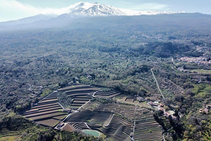 our winery from the sky 1