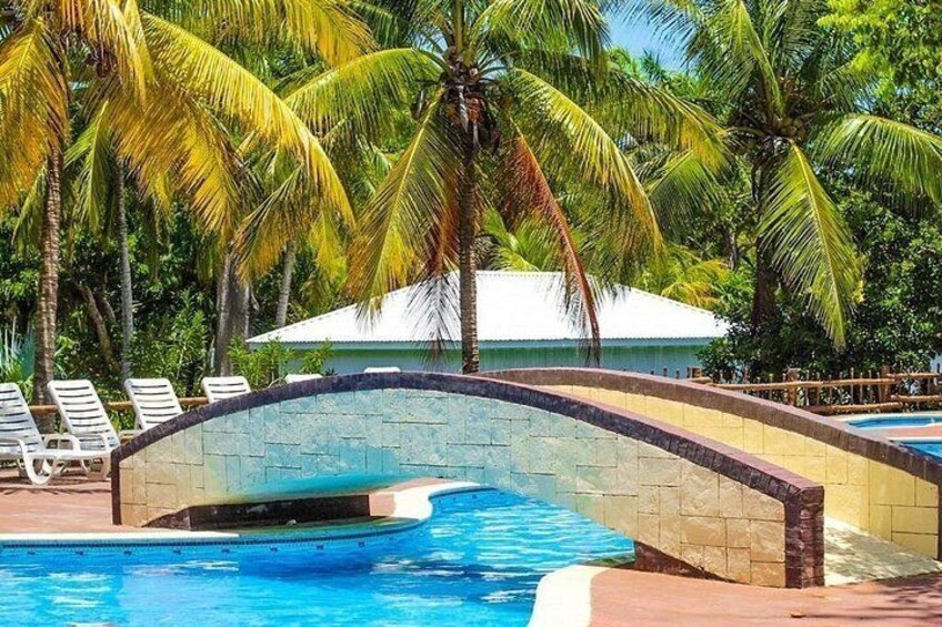 Una piscina con un puente de piedra, palmeras y sillas de descanso. 2