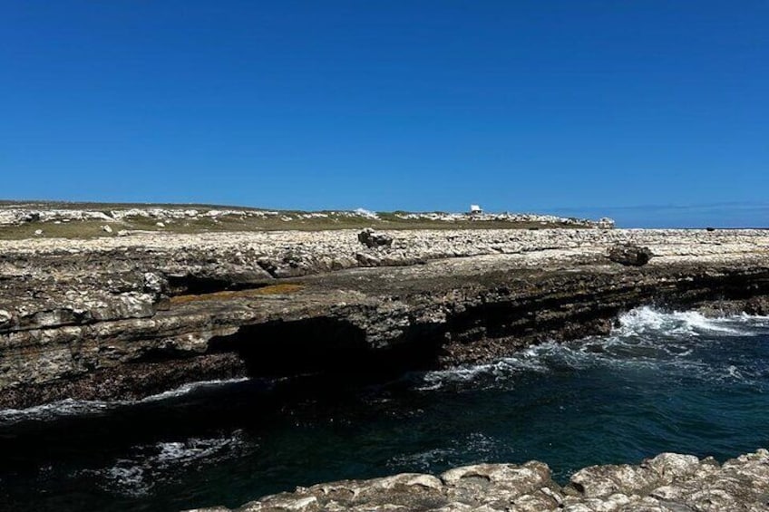 A rocky coastline with a lighthouse and waves crashing against the rocks. 1