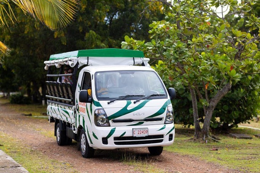 Safari Jeep Tour 5