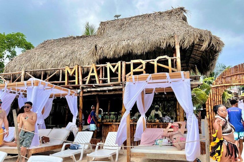 Full-Day Tour Isla Baru - National Aviary of Colombia and Playa Blanca 2