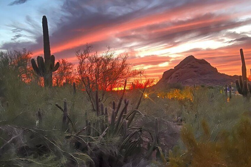 A desert landscape with cacti and a mountain at sunset. 5