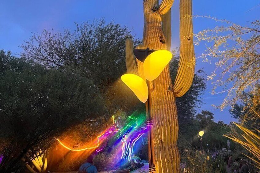 A cactus illuminated with colorful lights at dusk. 2