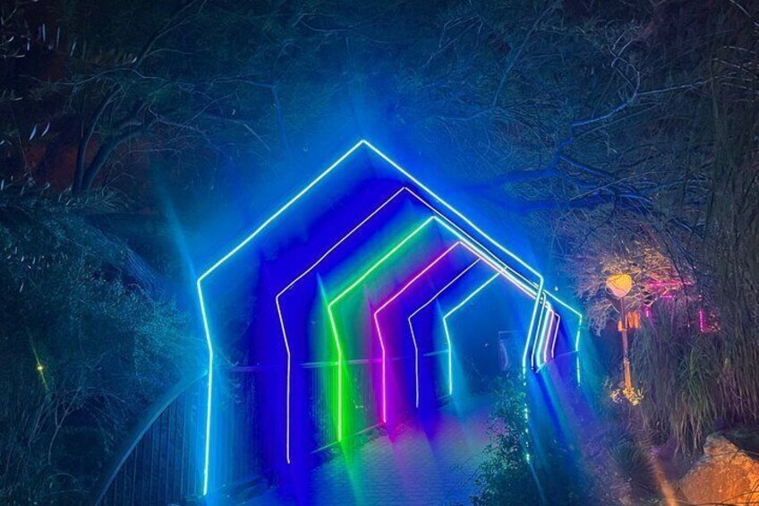 A neon-lit geometric structure in a forested area. 3