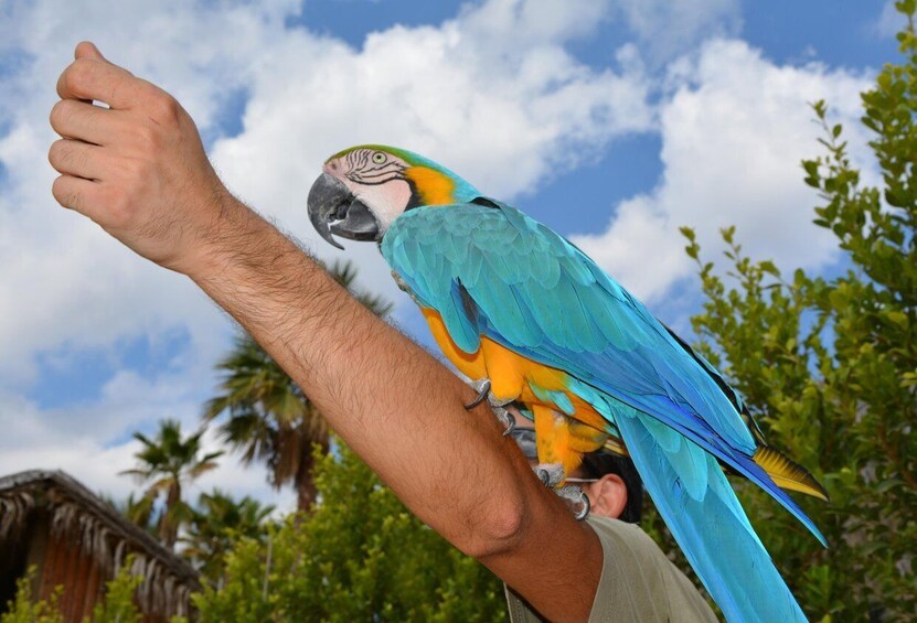 Picture 10 for Activity Benidorm: Terra Natura and Aqua Natura Combo Day Ticket 2