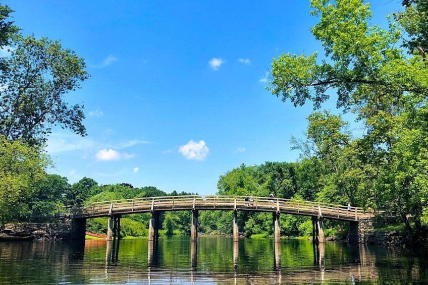 Un ponte di legno che scavalca un fiume tranquillo, circondato da vegetazione lussureggiante. 3