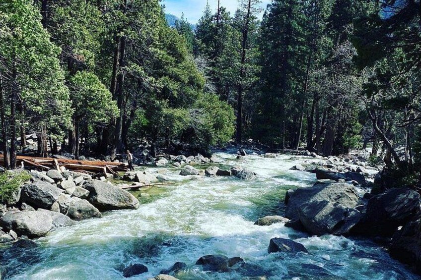 A river flowing through a forest with rocks and trees. 4