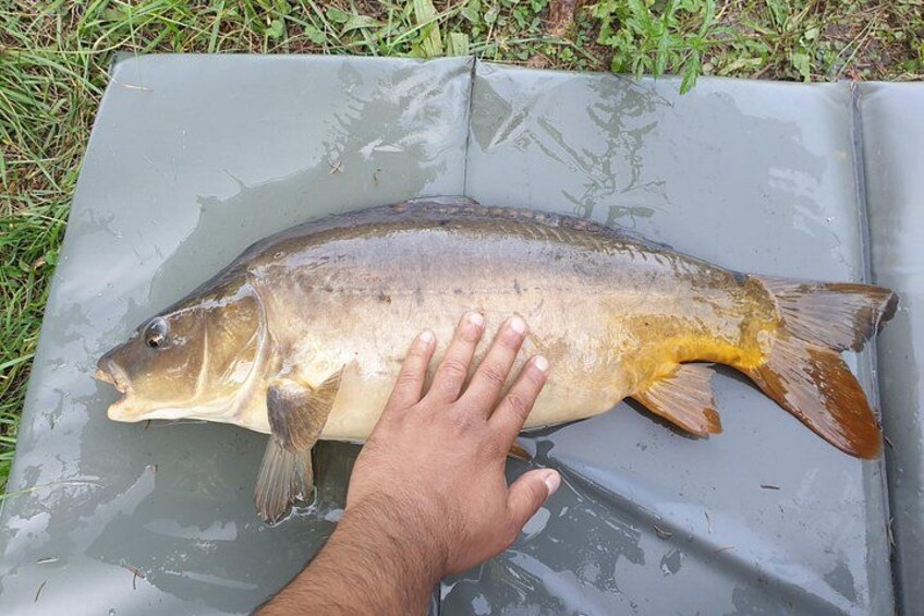 Introduction to fishing in Strasbourg 3