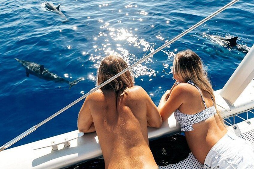 Exclusive Waikiki Yacht Snorkel with Lunch and Bevs 2