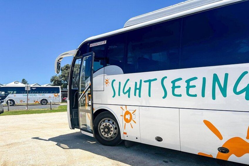 Full-Day Great Ocean Road and 12 Apostles Tour 3