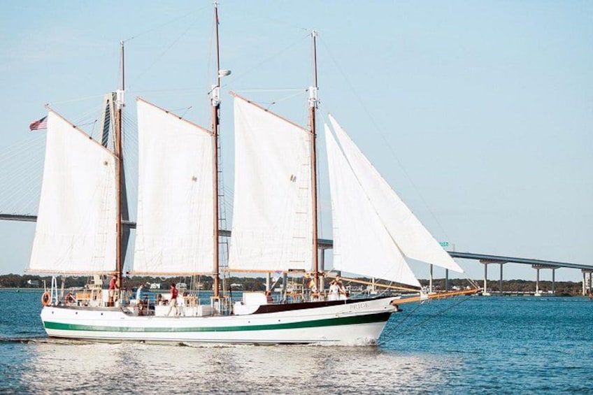 Afternoon Schooner Sightseeing Dolphin Cruise on Charleston Harbor 3