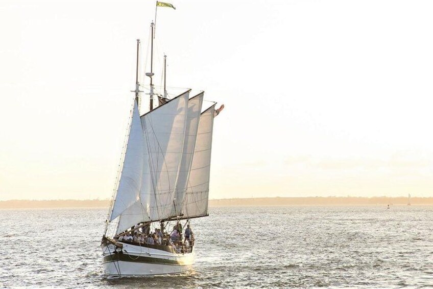 Afternoon Schooner Sightseeing Dolphin Cruise on Charleston Harbor 5