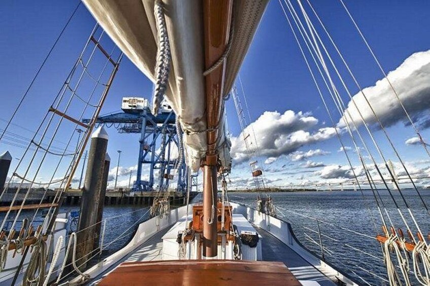 Afternoon Schooner Sightseeing Dolphin Cruise on Charleston Harbor 1
