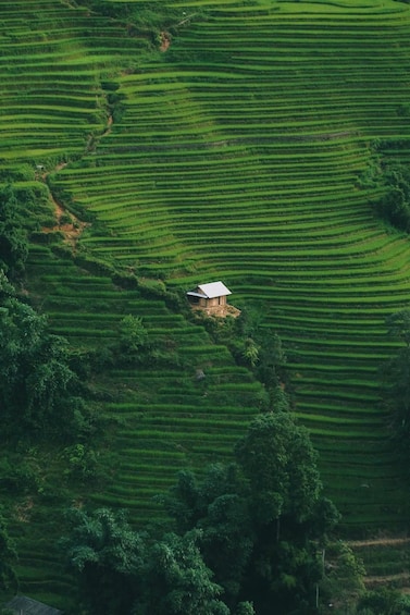 Picture 3 for Activity SAPA Less-Touristy Route & Local Experience with Sinh Family 3