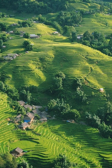 Picture 29 for Activity SAPA Less-Touristy Route & Local Experience with Sinh Family 2