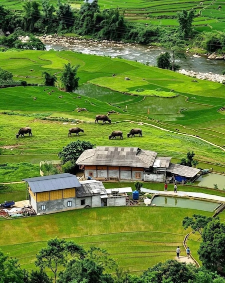 Picture 9 for Activity SAPA Less-Touristy Route & Local Experience with Sinh Family 5