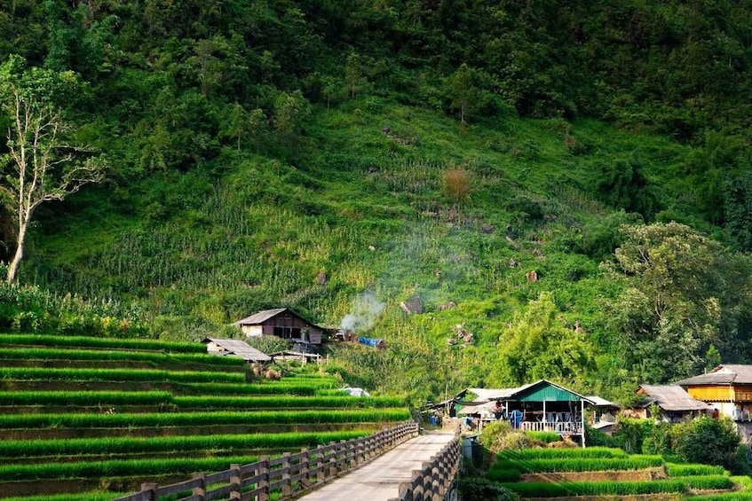 Picture 5 for Activity SAPA Less-Touristy Route & Local Experience with Sinh Family 4