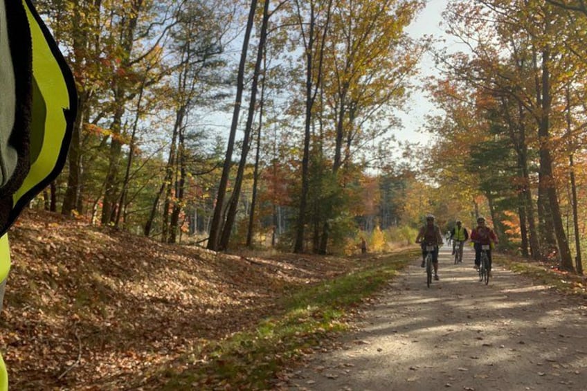 A forest path with cyclists. 1