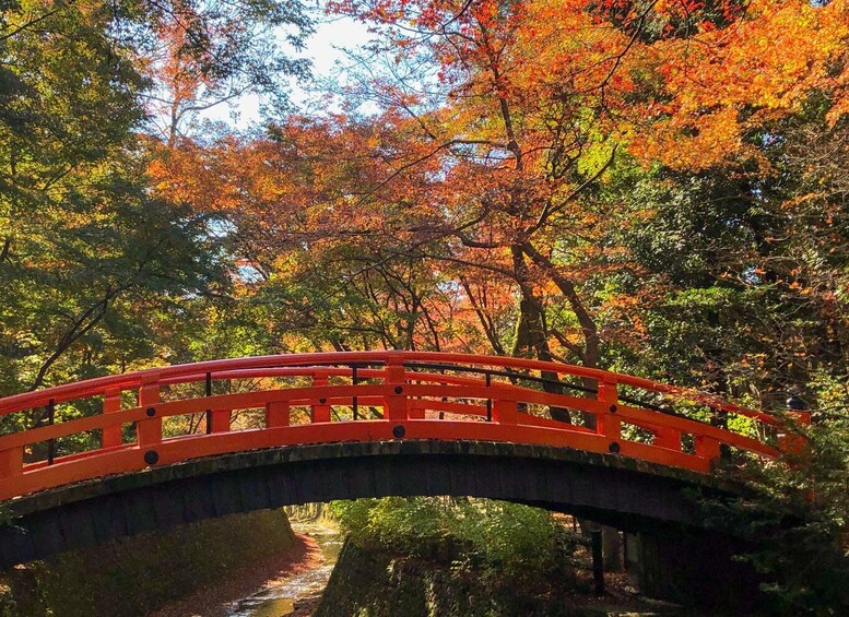 Picture 35 for Activity Kyoto Customized Private Tour: See Top Attractions in 1 Day 3