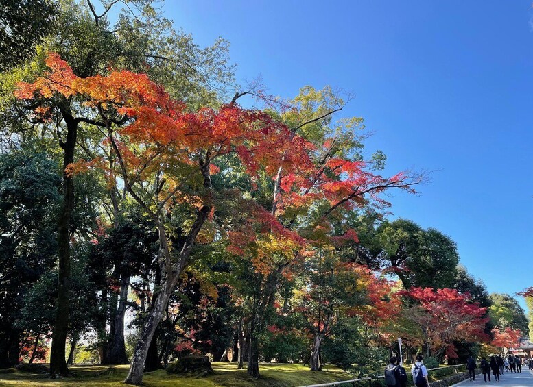 Picture 36 for Activity Kyoto Customized Private Tour: See Top Attractions in 1 Day 2