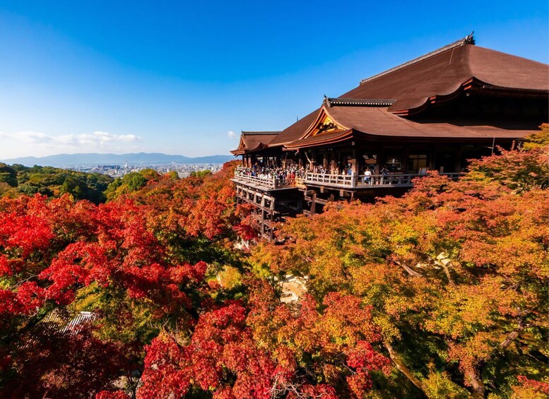 Picture 5 for Activity Kyoto Customized Private Tour: See Top Attractions in 1 Day 5