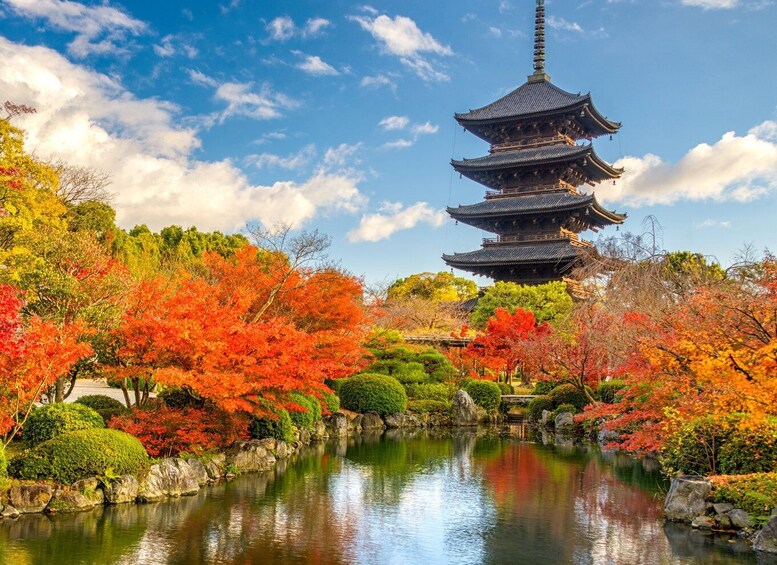 Picture 6 for Activity Kyoto Customized Private Tour: See Top Attractions in 1 Day 4