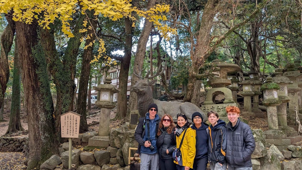 Picture 20 for Activity Nara City Highlights Shared Group or Private Cross Bike Tour 4