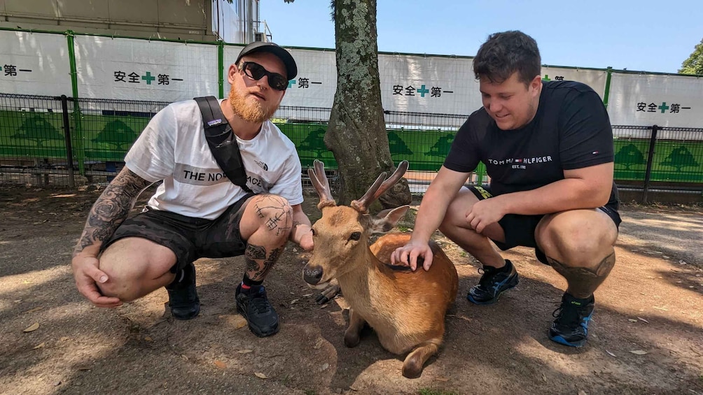 Picture 3 for Activity Nara City Highlights Shared Group or Private Cross Bike Tour 2