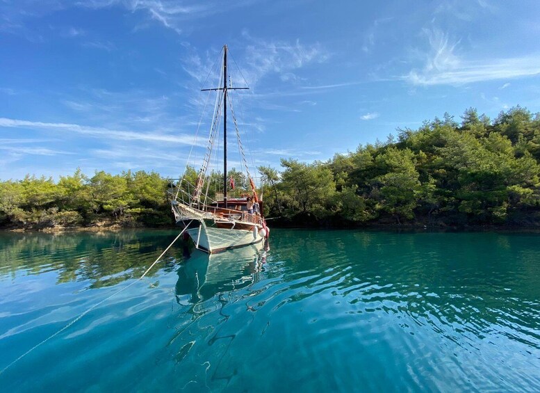 A sailboat anchored in calm turquoise waters with a backdrop of dense green trees and a clear blue sky. 3