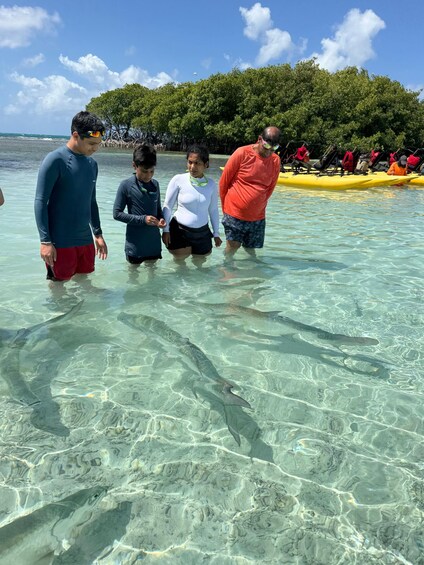 Picture 1 for Activity La Parguera: Water Bike Tour in La Parguera Cays 2