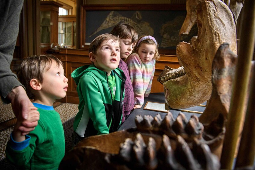 A group of children observing a dinosaur skeleton exhibit. 3