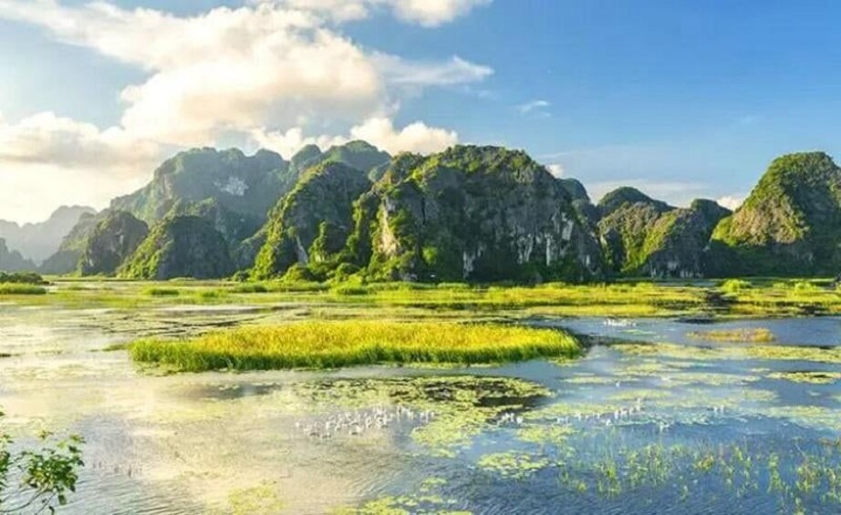 Picture 36 for Activity Hanoi: Ninh Binh Hoa Lu/Bai Dinh, Trang An/Tam Coc, Mua Cave 5