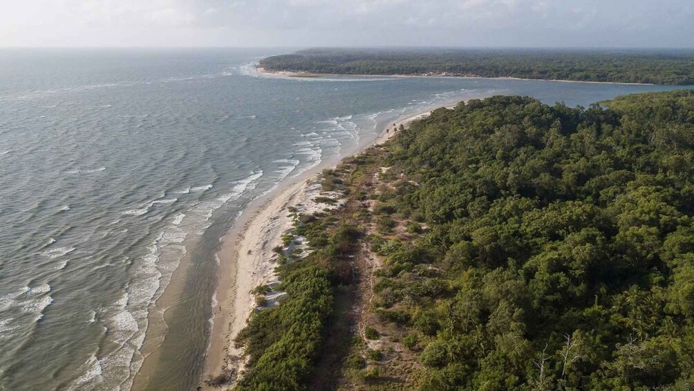 A coastal landscape with a sandy beach, dense forest, and a view of the ocean. 2
