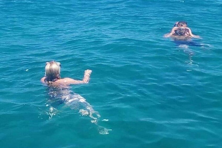 Swimming and Diving 3