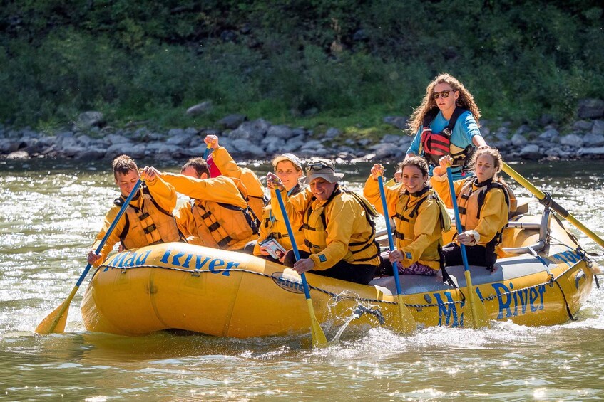 Picture 7 for Activity Jackson: 8-Mile Small-Boat Whitewater Rafting Trip 2