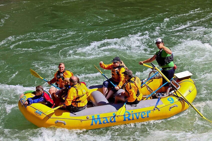 Picture 10 for Activity Jackson: 8-Mile Small-Boat Whitewater Rafting Trip 3