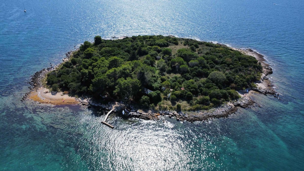An aerial view of a small, densely forested island surrounded by clear blue waters. 2