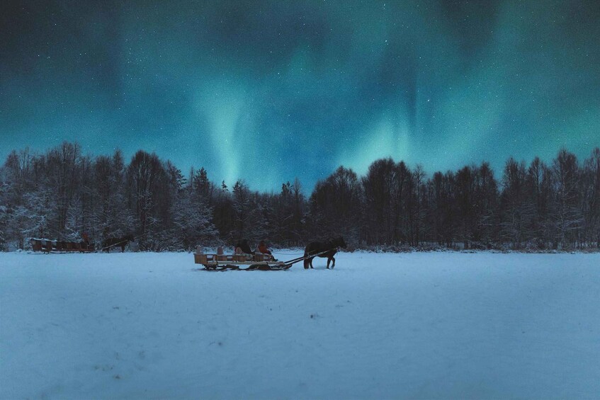A snowy landscape with a sled pulled by a dog, a person sitting on the sled, and a forest in the background. 4