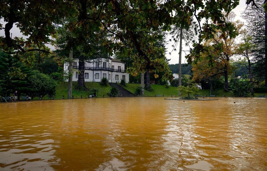 Picture 4 for Activity Furnas: Tea Plantations, Lake and Volcano Guided Tour 4