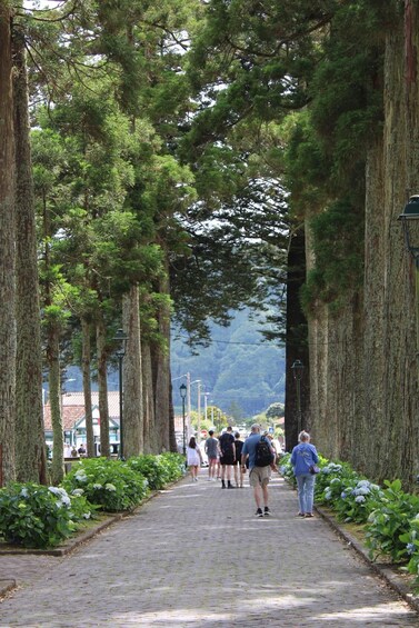 Picture 7 for Activity São Miguel Island: Full-Day Sete Cidades Tour 2