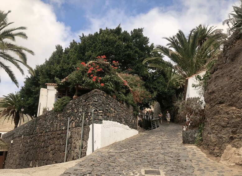 Picture 7 for Activity Essence of Tenerife:Candelaria, Orotava, Garachico and Masca 2