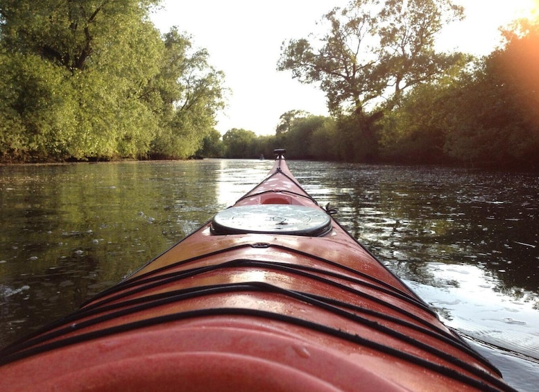 A red kayak on a calm river surrounded by trees. 1