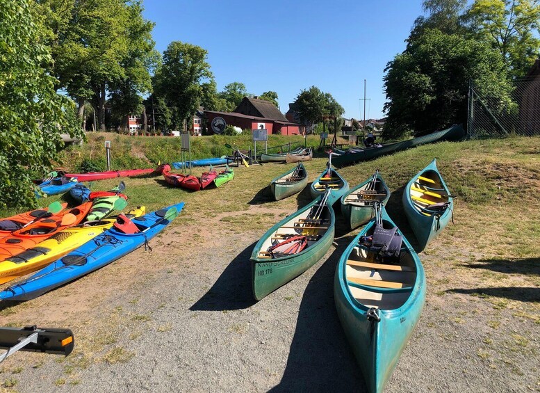 A row of canoes lined up on a grassy area with trees and houses in the background. 4