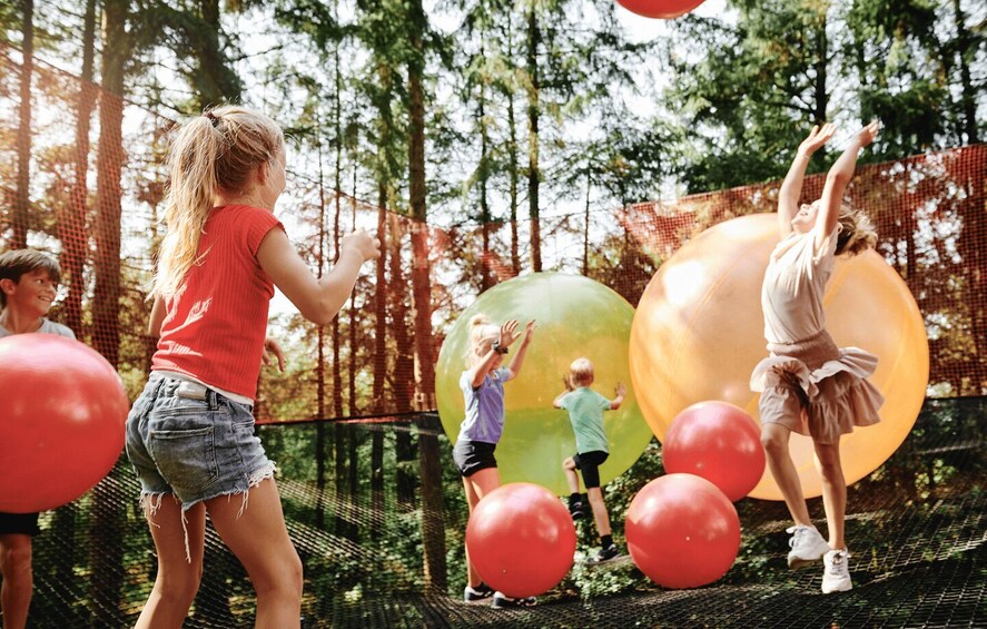 Children playing with large inflatable balls on a netted course in a forest. 3