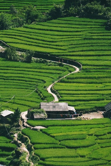 Hanoi: SaPa Lao Chai-Ta Van Trek, Homestay Rice Terrace View 1