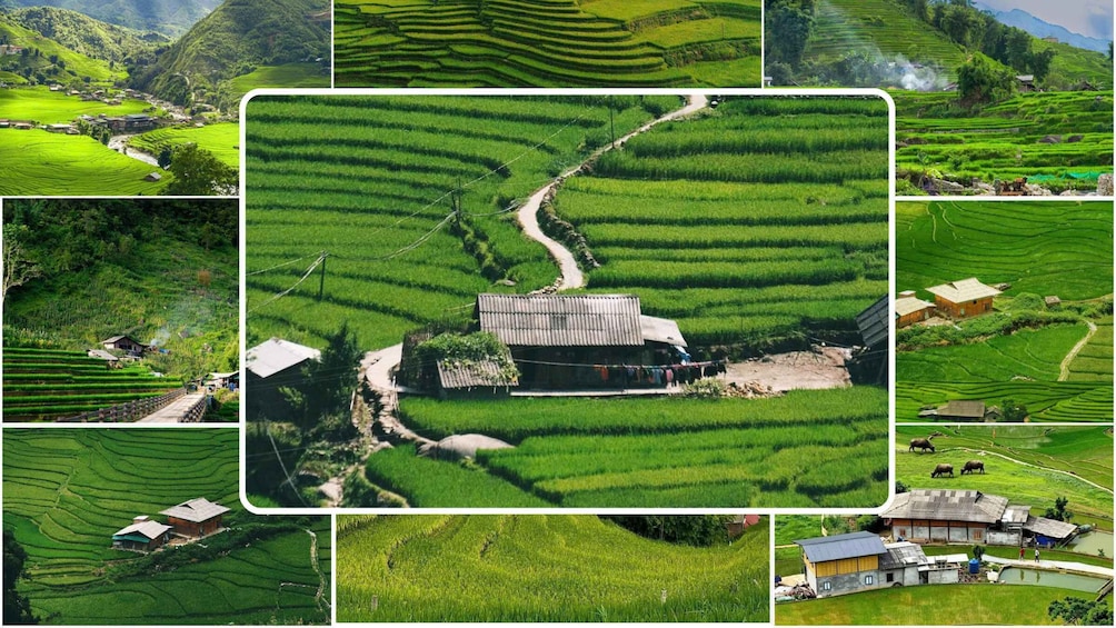 Sapa's Best Trail: Homestay by Lake, River & Rice Field View 1